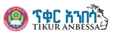 Black Lion Hospital