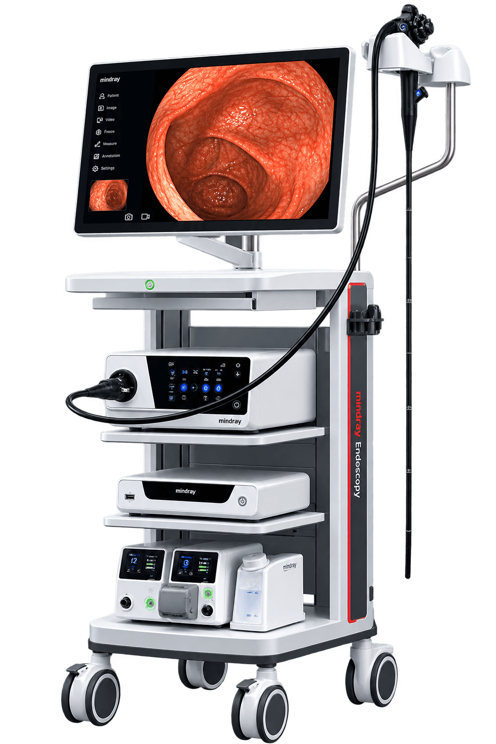 Endoscopy System